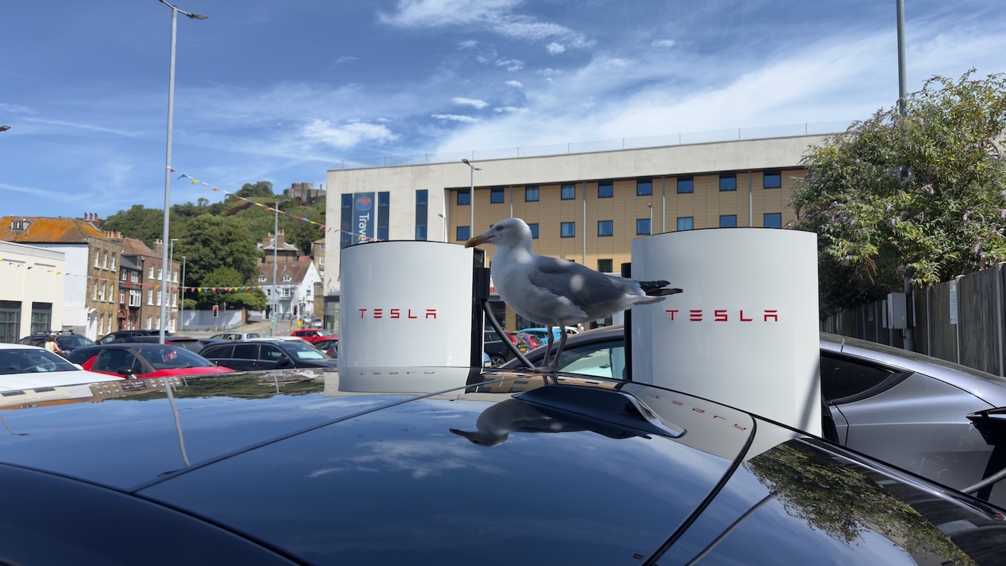 Romsey to Dover Cruise Transfer: A Real AD Premium Travel Journey